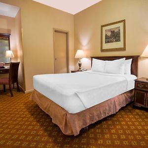 Bronze 1 Queen Bed    